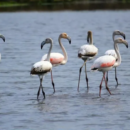 Riabela Ξενοδοχείο