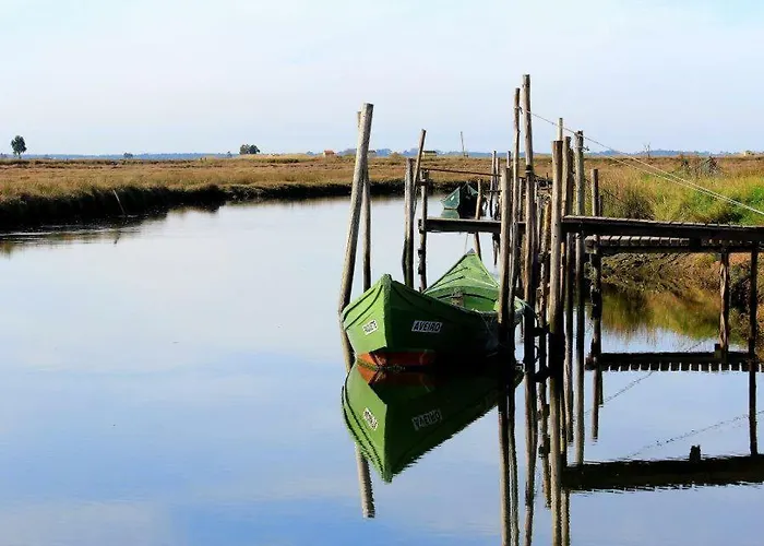 Riabela טוריירה